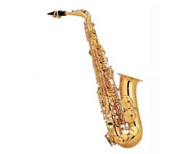 Legato 200 Alto Saxophone No Minimum Order