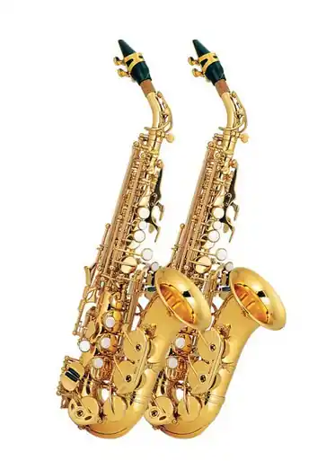 Free Shipping Legato 310 Curved Soprano Saxophone