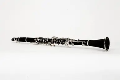 Final Sale Jean Paul Clarinet CL-300