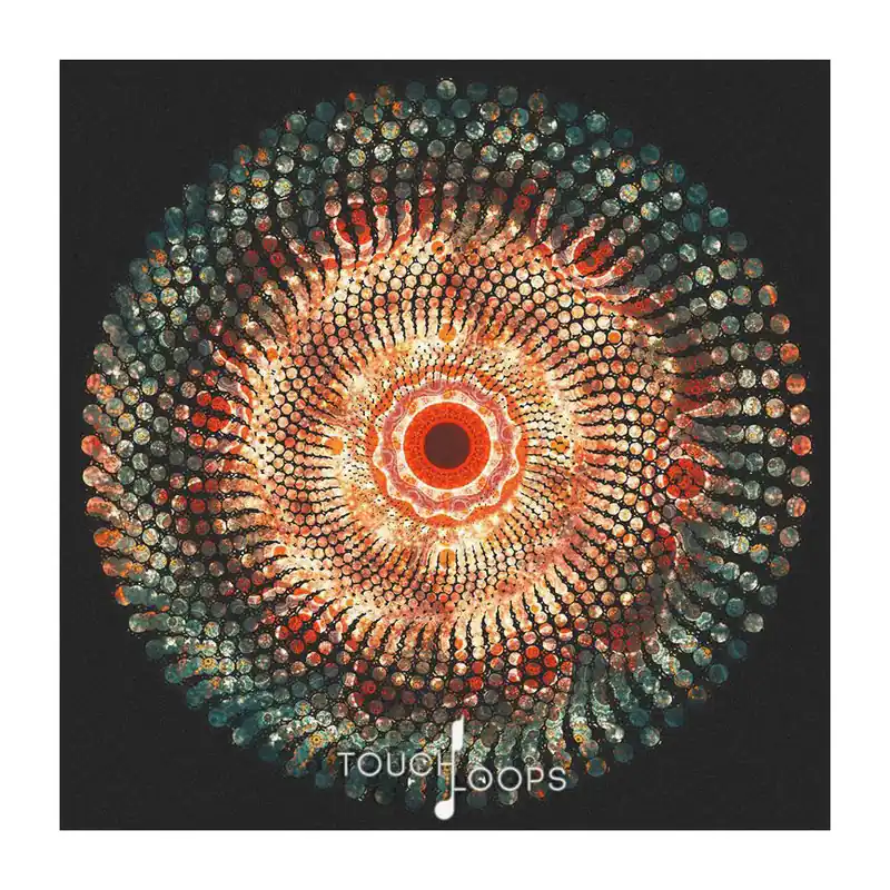 Factory Price Touch Loops Cyclic Beats Sample Pack