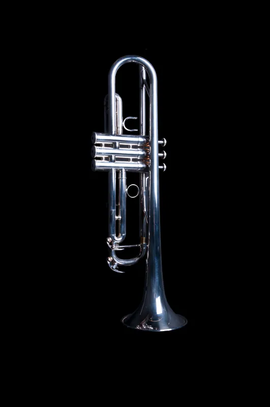 P.Mauriat PCL-721N Professional Bb Clarinet Must Have