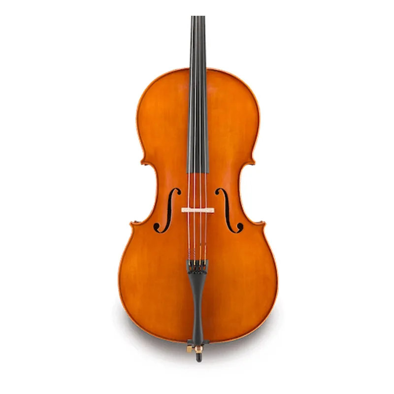 Hot Picks Eastman VC200 4/4 Cello Outfit