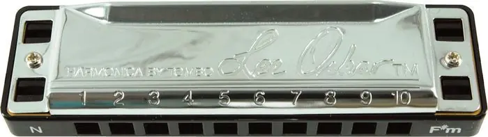 New Arrival Lee Oskar 1910NCSHARPM Natural Minor Harmonica in Key of C Sharp Minor