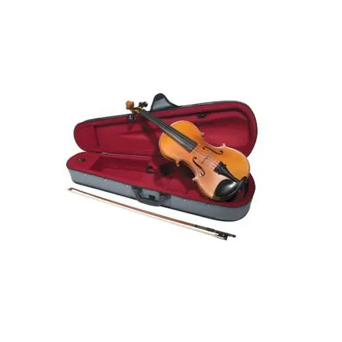 Bargain Amati FEATHERLITE14 Case for 1/4" Size Violin