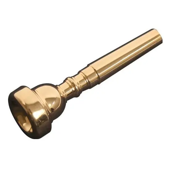 Bach 3515CGP 5C Gold Plated Trumpet Mouthpiece No Minimum Order