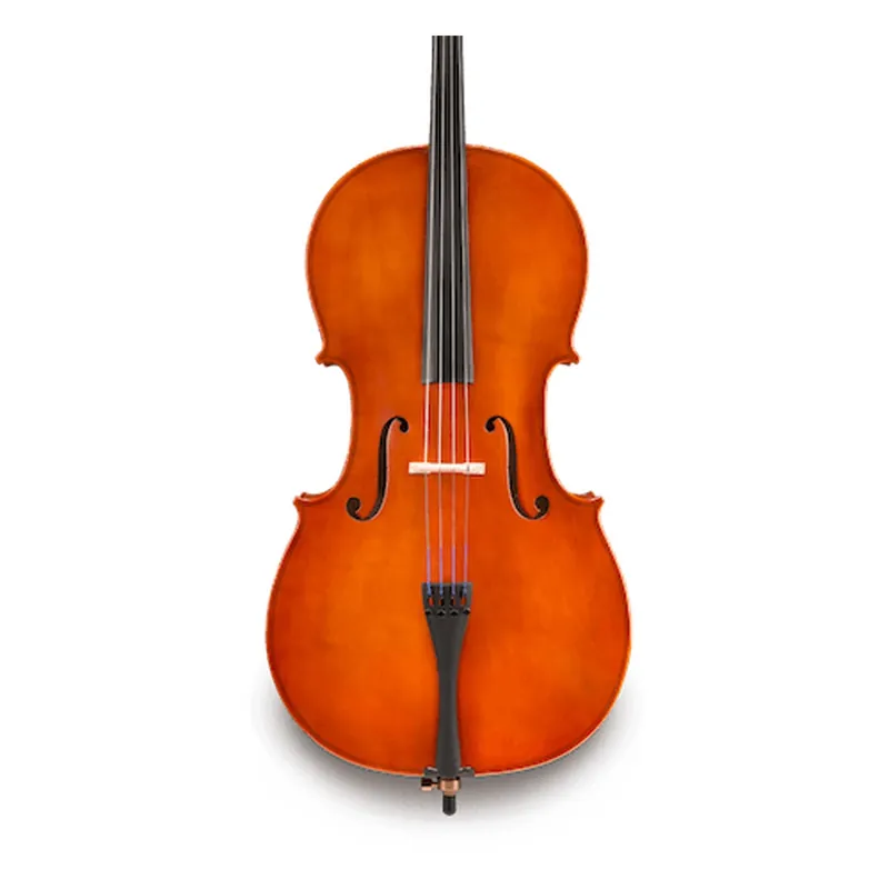 Samuel Eastman VC80 - 1/2 Cello Outfit Brand New