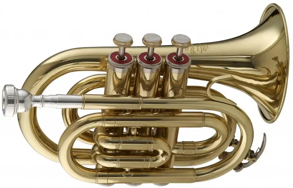 Stagg Bb Pocket Trumpet in Lacquer Budget