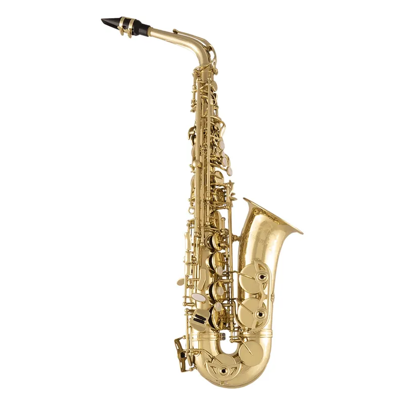 Top Rated Selmer SAS711 Alto Saxophone