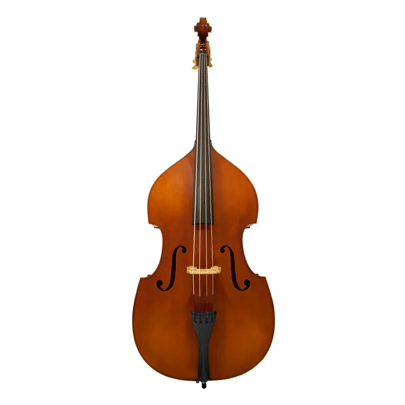Maple Leaf Strings Model 130 3/4 Bass Outfit Fresh Stock