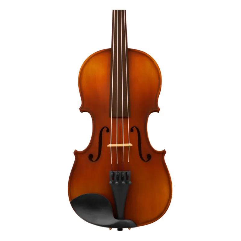Maple Leaf Strings Model 120 14” Viola Outfit Last Chance
