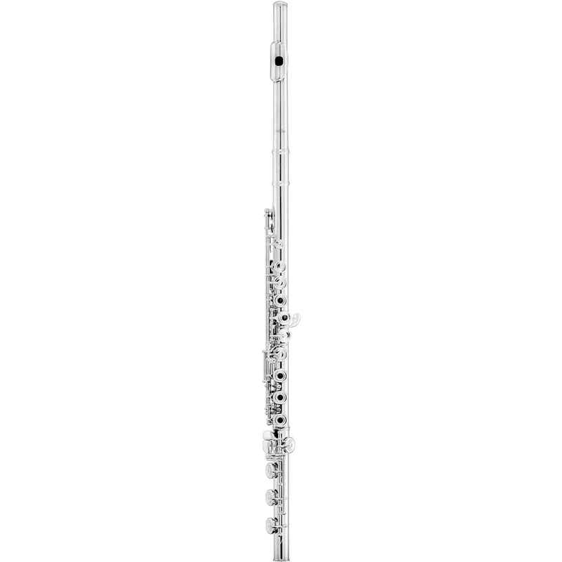 Azumi AZ1SRBEO Flute Editor’s Pick