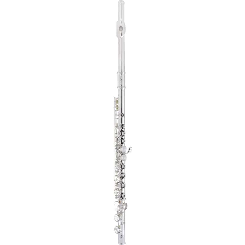 Selmer Student Concert Flute in C SLF200 Bargain