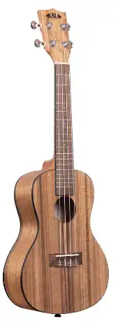 Genuine Kala Pacific Walnut - Concert