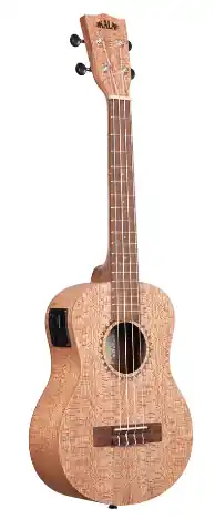 Same Day Shipping Kala Meranti - TenorEQ