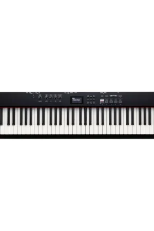 Affordable Roland RD-08 Portable Stage Piano