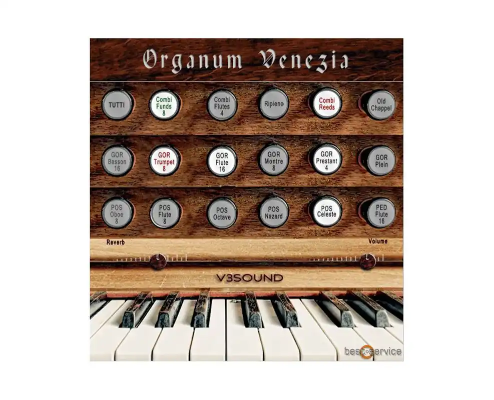 No Minimum Order Best Service Organum Venezia Virtual Instrument